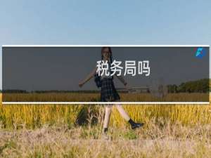 税务局吗
