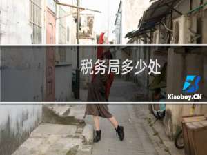 税务局多少处