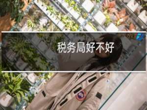 税务局好不好