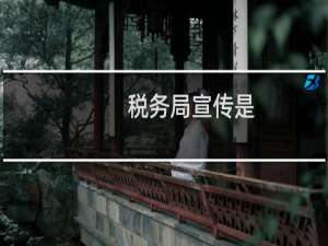 税务局宣传是