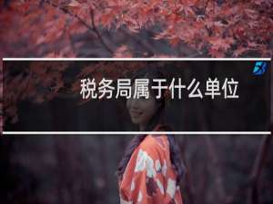 税务局属于什么单位