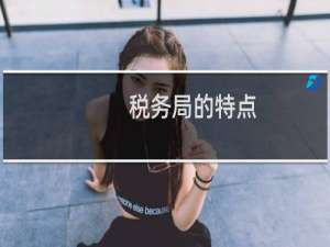 税务局的特点
