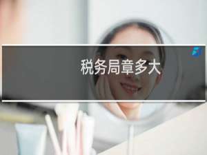 税务局章多大