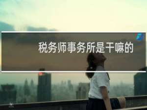 税务师事务所是干嘛的