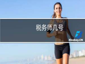 税务师几号