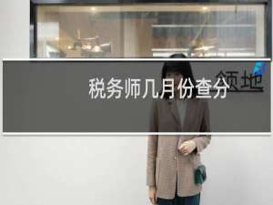 税务师几月份查分