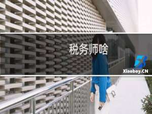 税务师啥