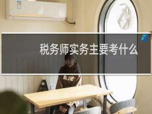 税务师实务主要考什么