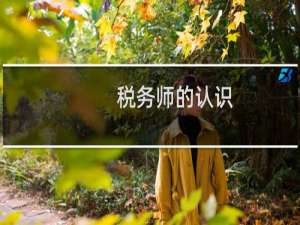 税务师的认识
