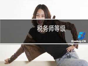 税务师等级