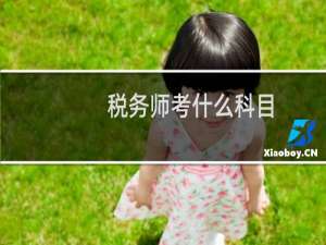 税务师考什么科目