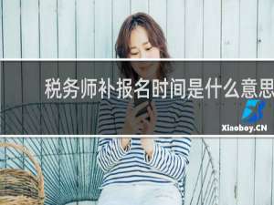 税务师补报名时间是什么意思