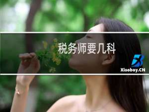 税务师要几科