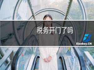 税务开门了吗