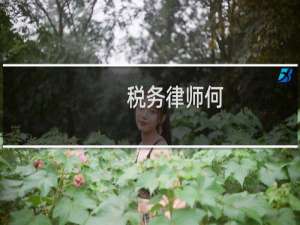 税务律师何