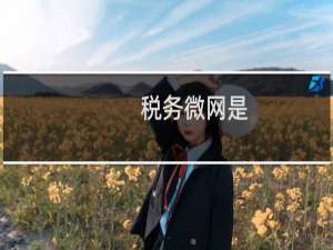 税务微网是