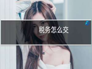 税务怎么交