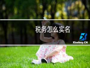 税务怎么实名
