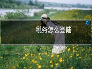 税务怎么登陆