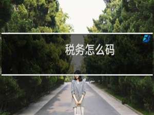 税务怎么码