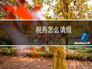 税务怎么请假