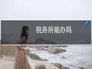 税务所能办吗