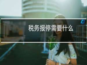 税务报停需要什么