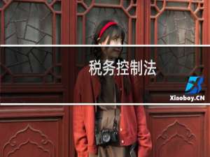 税务控制法