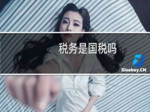 税务是国税吗