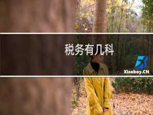 税务有几科