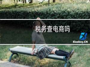 税务查电商吗