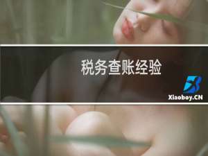 税务查账经验