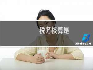 税务核算是