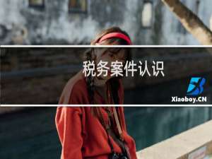 税务案件认识