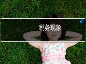 税务现象
