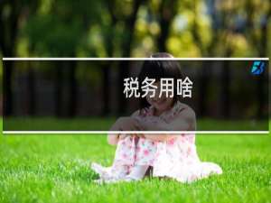 税务用啥