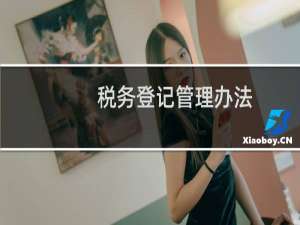 税务登记管理办法