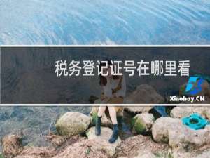 税务登记证号在哪里看