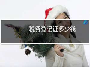 税务登记证多少钱