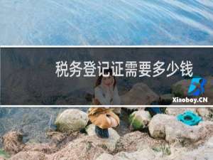 税务登记证需要多少钱
