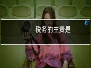 税务的主责是