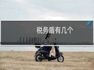 税务盾有几个