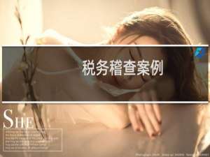 税务稽查案例