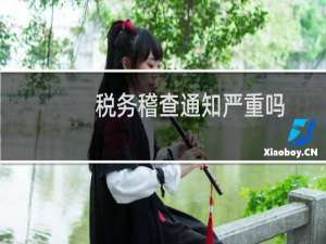 税务稽查通知严重吗