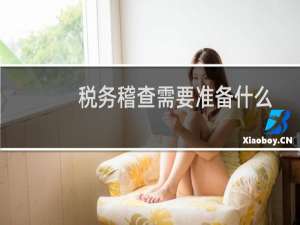 税务稽查需要准备什么