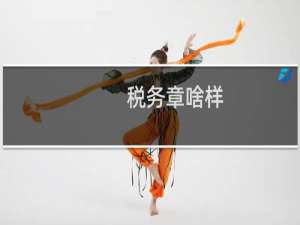 税务章啥样