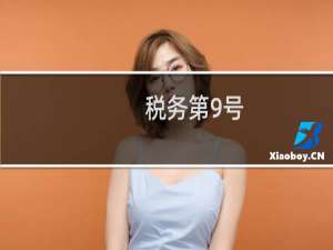 税务第9号