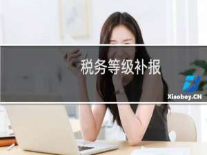 税务等级补报