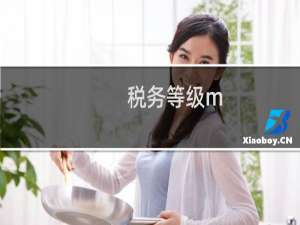税务等级m