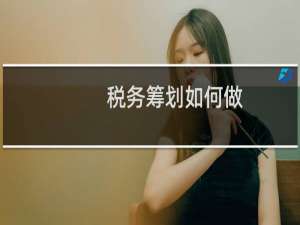 税务筹划如何做